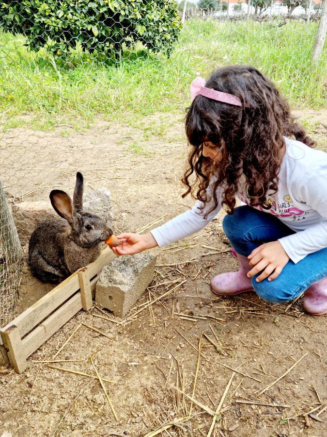Quinta Do Quartel Βίλα Έβορα Εξωτερικό φωτογραφία