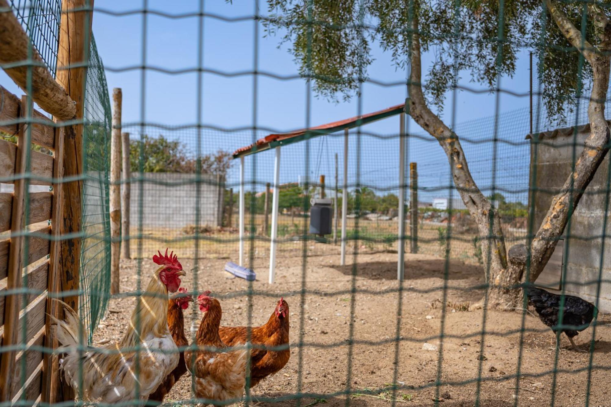 Quinta Do Quartel Βίλα Έβορα Εξωτερικό φωτογραφία